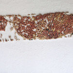 Laura Carraro, "S-fiori, uno strappo contemporaneo", 2012. 105 x 55 cm